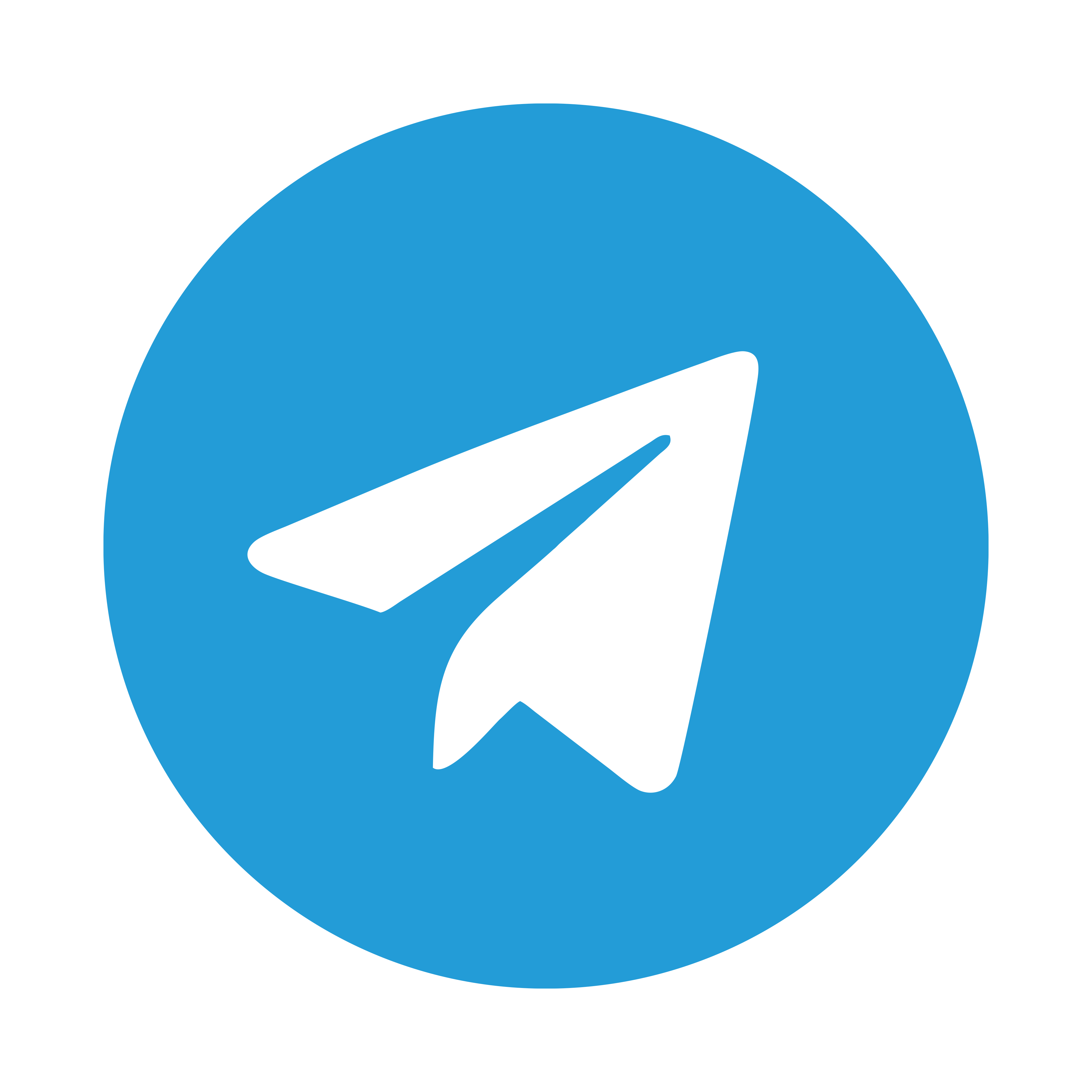 Telegram app icon: a blue circle with a white pointer in it.